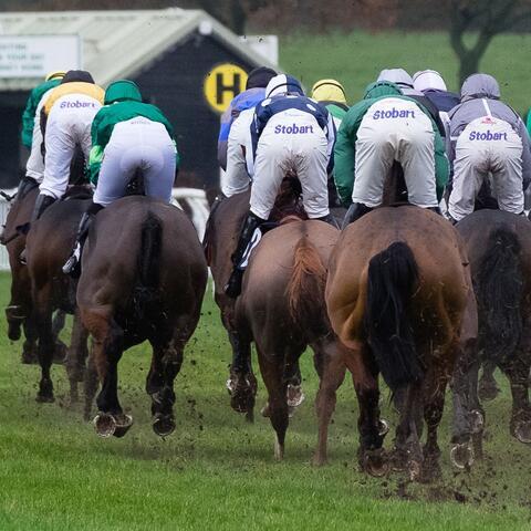 Jockeys and Horses Racing