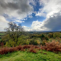 Hergest Ridge