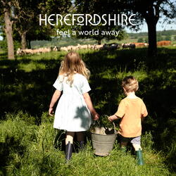 Herefordshire Ad