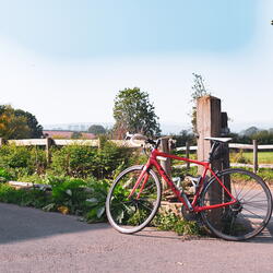 Parked bike