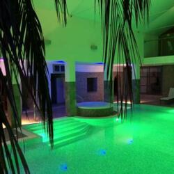 Palm fringed swimming pool and Jacuzzi