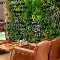 Living wall brings the outside in!