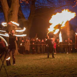  Friday night fire garden