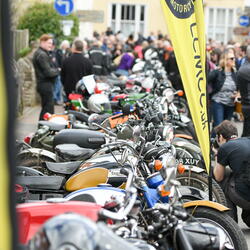 Many bikes also present