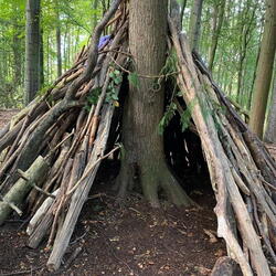 Den building 