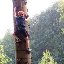 Tree Climbing