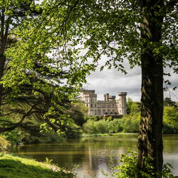 The Great British Dog Walk - Eastnor Castle