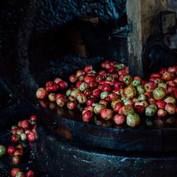 Fair Oak Cider Open Weekend