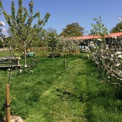 Colwall Orchard Group