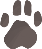 Paw Print Illustration